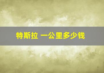 特斯拉 一公里多少钱